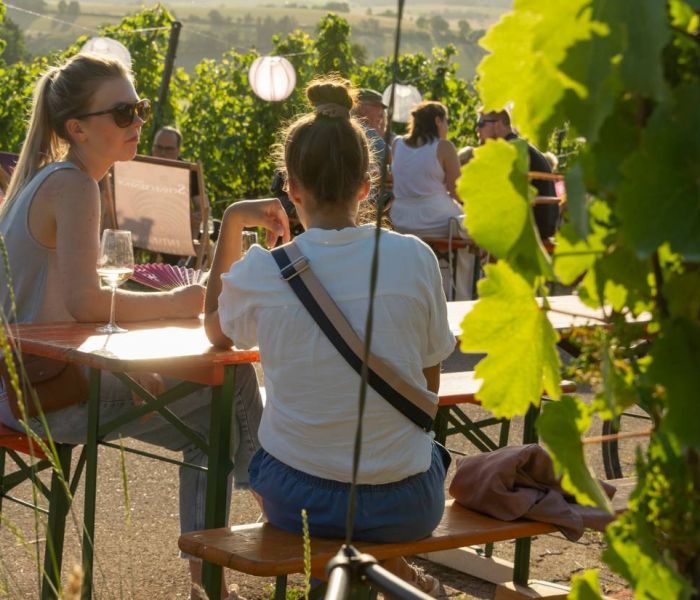 Erleben Sie die perfekte Mischung aus Geselligkeit und Genuss in unseren einladenden Weinsüden Pop-ups und entdecken Sie die Vielfalt der Weinwelt. (Foto: TMBW. Udo Bernhart)